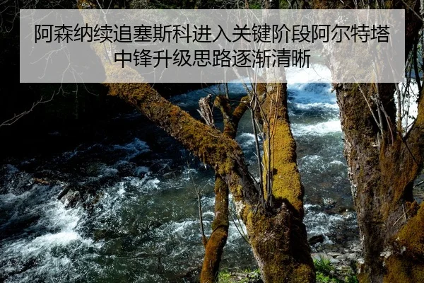 阿森纳续追塞斯科进入关键阶段阿尔特塔中锋升级思路逐渐清晰
