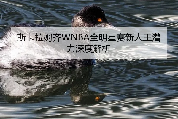 斯卡拉姆齐WNBA全明星赛新人王潜力深度解析
