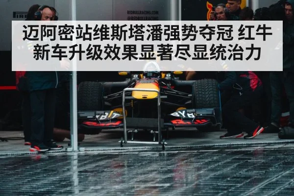 Red Bull racing team
